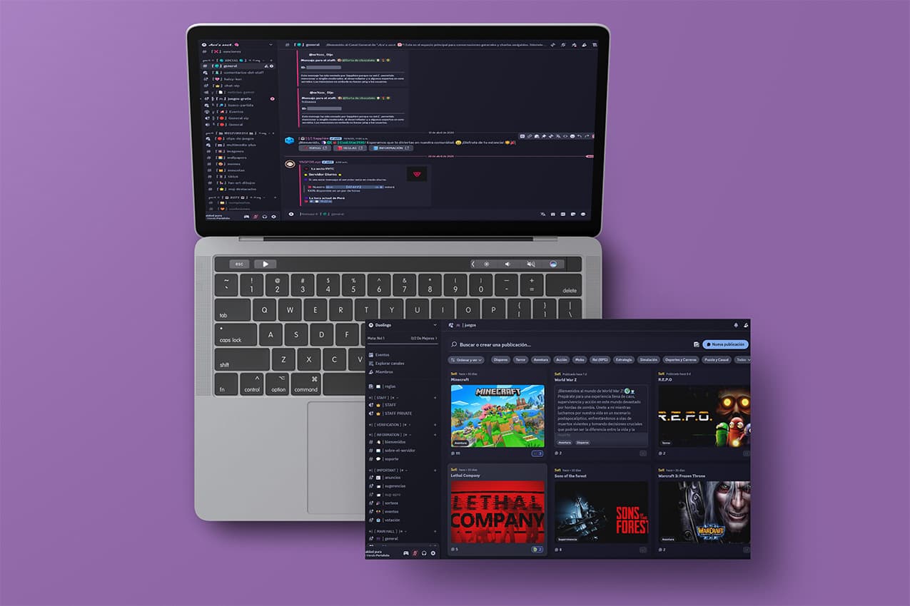 portfolio